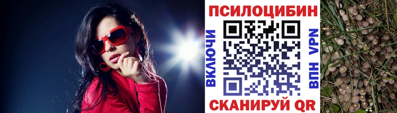 Галлюциногенные грибы мухоморы Артёмовск